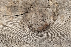 Come liberarsi efficacemente dai tarli del legno in casa